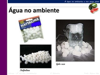 A água no ambiente e nos seres vivos




Água no ambiente




                                            Gelo seco

             Naftalina
Ciências – 6º ano Ens. Fundamental   4º Bimestre                        Profa. Rebeca Vale
 