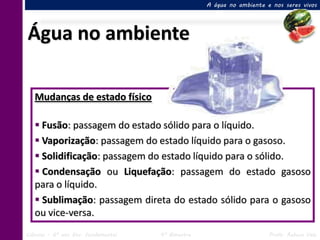 A água no ambiente e nos seres vivos




Água no ambiente

   Mudanças de estado físico

    Fusão: passagem do estado sólido para o líquido.
    Vaporização: passagem do estado líquido para o gasoso.
    Solidificação: passagem do estado líquido para o sólido.
    Condensação ou Liquefação: passagem do estado gasoso
   para o líquido.
    Sublimação: passagem direta do estado sólido para o gasoso
   ou vice-versa.
Ciências – 6º ano Ens. Fundamental   4º Bimestre                       Profa. Rebeca Vale
 