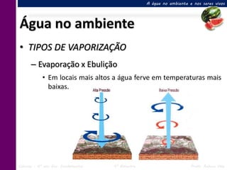 A água no ambiente e nos seres vivos




Água no ambiente
• TIPOS DE VAPORIZAÇÃO
      – Evaporação x Ebulição
            • Em locais mais altos a água ferve em temperaturas mais
              baixas.




Ciências – 6º ano Ens. Fundamental   4º Bimestre                       Profa. Rebeca Vale
 