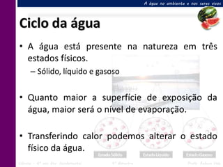 A água no ambiente e nos seres vivos




Ciclo da água
• A água está presente na natureza em três
  estados físicos.
      – Sólido, líquido e gasoso


• Quanto maior a superfície de exposição da
  água, maior será o nível de evaporação.

• Transferindo calor podemos alterar o estado
  físico da água.
Ciências – 6º ano Ens. Fundamental   4º Bimestre                       Profa. Rebeca Vale
 