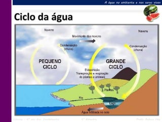 A água no ambiente e nos seres vivos




Ciclo da água




Ciências – 6º ano Ens. Fundamental   4º Bimestre                       Profa. Rebeca Vale
 