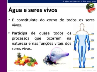 A água no ambiente e nos seres vivos




Água e seres vivos
• É constituinte do corpo de todos os seres
  vivos.
• Participa de quase todos os
  processos que ocorrem na
  natureza e nas funções vitais dos
  seres vivos.



Ciências – 6º ano Ens. Fundamental   4º Bimestre                       Profa. Rebeca Vale
 