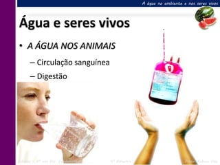 A água no ambiente e nos seres vivos




Água e seres vivos
• A ÁGUA NOS ANIMAIS
      – Circulação sanguínea
      – Digestão




Ciências – 6º ano Ens. Fundamental   4º Bimestre                       Profa. Rebeca Vale
 