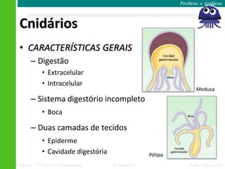 Poríferos e Cnidários




Cnidários
• CARACTERÍSTICAS GERAIS
      – Digestão
            • Extracelular
            • Intracelular
                                                                    Medusa
      – Sistema digestório incompleto
            • Boca

      – Duas camadas de tecidos
            • Epiderme
            • Cavidade digestória                  Pólipo
Ciências – 7º ano Ens. Fundamental   3º Bimestre                Profa. Rebeca Vale
 