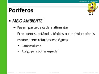 Poríferos e Cnidários




Poríferos
• MEIO AMBIENTE
      – Fazem parte da cadeia alimentar
      – Produzem substâncias tóxicas ou antimicrobianas
      – Estabelecem relações ecológicas
           • Comensalismo
           • Abrigo para outras espécies




Ciências – 7º ano Ens. Fundamental   3º Bimestre       Profa. Rebeca Vale
 