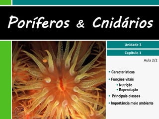 Poríferos   &   Cnidários
                            Unidade 3

                            Capítulo 1
                                         Aula 2/2

                   Características
                   Funções vitais
                        Nutrição
                        Reprodução
                   Principais classes
                   Importância meio ambiente
 
