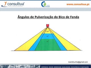mariofcunha@gmail.com
Ângulos de Pulverização do Bico de Fenda
 
