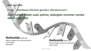 Biomolekul ( Karbohidrat, Protein, Lemak, Asam Nukleat) | PDF