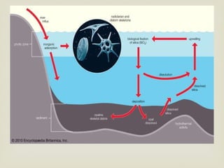 The chemistry of the marine environment is a complex aspect of the ...
