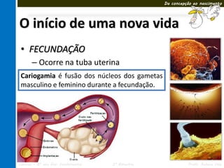 Da concepção ao nascimento




O início de uma nova vida
 • FECUNDAÇÃO
    – Ocorre na tuba uterina
    – Cariogamia
 Cariogamia é fusão dos núcleos dos gametas
 masculino e feminino durante a fecundação.




Ciências – 8º ano Ens. Fundamental   3º Bimestre             Profa. Rebeca Vale
 