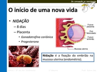 Da concepção ao nascimento




O início de uma nova vida
 • NIDAÇÃO
       – 8 dias
       – Placenta
             • Gonadotrofina coriônica
             • Progesterona



                                     Nidação é a fixação do embrião na
                                     mucosa uterina (endométrio).


Ciências – 8º ano Ens. Fundamental      3º Bimestre              Profa. Rebeca Vale
 