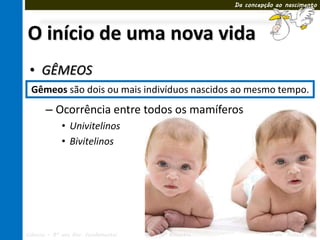 Da concepção ao nascimento




O início de uma nova vida
 • GÊMEOS
 Gêmeos são dois ou mais indivíduos nascidos ao mesmo tempo.
       – Ocorrência entre todos os mamíferos
             • Univitelinos
             • Bivitelinos




Ciências – 8º ano Ens. Fundamental   3º Bimestre             Profa. Rebeca Vale
 