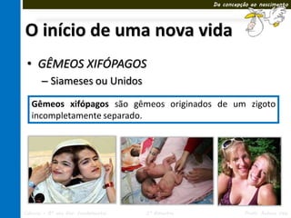Da concepção ao nascimento




O início de uma nova vida
 • GÊMEOS XIFÓPAGOS
       – Siameses ou Unidos
        • xifópagos são
   GêmeosMesma placenta gêmeos originados de um zigoto
        • Genes iguais
   incompletamente separado.




Ciências – 8º ano Ens. Fundamental   3º Bimestre             Profa. Rebeca Vale
 