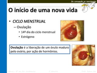 Da concepção ao nascimento




O início de uma nova vida
 • CICLO MENSTRUAL
       – Ovulação
             • 14º dia do ciclo menstrual
             • Estrógeno


   Ovulação é a liberação de um óvulo maduro
   pelo ovário, por ação de hormônios.




Ciências – 8º ano Ens. Fundamental   3º Bimestre             Profa. Rebeca Vale
 