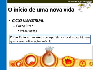 Da concepção ao nascimento




O início de uma nova vida
 • CICLO MENSTRUAL
       – Corpo lúteo
             • Progesterona

   Corpo lúteo ou amarelo corresponde ao local no ovário em
   que ocorreu a liberação do óvulo.




Ciências – 8º ano Ens. Fundamental   3º Bimestre             Profa. Rebeca Vale
 