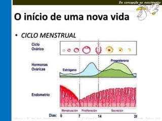 Da concepção ao nascimento




O início de uma nova vida
 • CICLO MENSTRUAL




Ciências – 8º ano Ens. Fundamental   3º Bimestre             Profa. Rebeca Vale
 