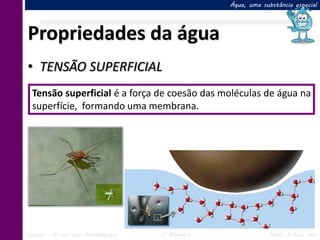 Água, uma substância especial




Propriedades da água
• TENSÃO SUPERFICIAL
  Tensão superficial é a força de coesão das moléculas de água na
  superfície, formando uma membrana.




Ciências – 6º ano Ens. Fundamental   4º Bimestre               Profa. Rebeca Vale
 