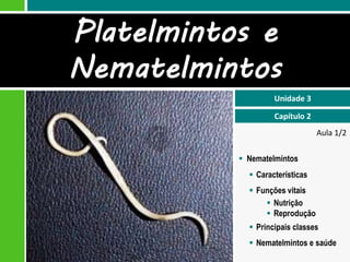 Platelmintos e
Nematelmintos
                    Unidade 3

                    Capítulo 2
                                 Aula 1/2

            Nematelmintos
              Características
              Funções vitais
                  Nutrição
                  Reprodução
              Principais classes
              Nematelmintos e saúde
 