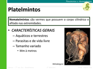 Platelmintos e Nematelmintos




Platelmintos
  Nematelmintos são vermes que possuem o corpo cilíndrico e
  afilado nas extremidades.

• CARACTERÍSTICAS GERAIS
      – Aquáticos e terrestres
      – Parasitas e de vida livre
      – Tamanho variado
            • Mm à metros



                                            Melodoigyne
Ciências – 7º ano Ens. Fundamental   3º Bimestre                       Profa. Rebeca Vale
 