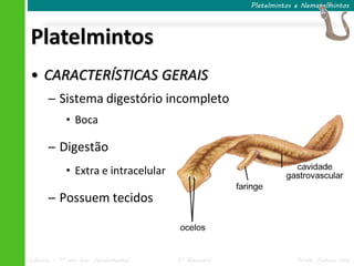 Platelmintos e Nematelmintos




Platelmintos
• CARACTERÍSTICAS GERAIS
      ─ Sistema digestório incompleto
            • Boca

      ─ Digestão
            • Extra e intracelular

      ─ Possuem tecidos



Ciências – 7º ano Ens. Fundamental   3º Bimestre                Profa. Rebeca Vale
 