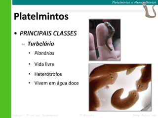 Platelmintos e Nematelmintos




Platelmintos
• PRINCIPAIS CLASSES
      – Turbelária
           • Planárias

           • Vida livre
           • Heterótrofos
           • Vivem em água doce




Ciências – 7º ano Ens. Fundamental   3º Bimestre                Profa. Rebeca Vale
 