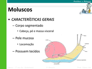Anelídeos e Moluscos




Moluscos
• CARACTERÍSTICAS GERAIS
      ─ Corpo segmentado
            • Cabeça, pé e massa visceral

      ─ Pele mucosa
            • Locomoção

      ─ Possuem tecidos



Ciências – 7º ano Ens. Fundamental   3º Bimestre       Profa. Rebeca Vale
 