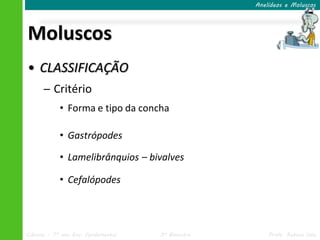 Anelídeos e Moluscos




Moluscos
• CLASSIFICAÇÃO
      ─ Critério
            • Forma e tipo da concha

            • Gastrópodes

            • Lamelibrânquios – bivalves

            • Cefalópodes




Ciências – 7º ano Ens. Fundamental   3º Bimestre       Profa. Rebeca Vale
 
