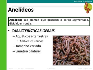 Anelídeos e Moluscos




Anelídeos
  Anelídeos são animais que possuem o corpo segmentado,
  dividido em anéis.

• CARACTERÍSTICAS GERAIS
      – Aquáticos e terrestres
            • Ambientes úmidos
      – Tamanho variado
      – Simetria bilateral



Ciências – 7º ano Ens. Fundamental   3º Bimestre       Profa. Rebeca Vale
 