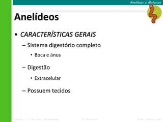 Anelídeos e Moluscos




Anelídeos
• CARACTERÍSTICAS GERAIS
      ─ Sistema digestório completo
            • Boca e ânus

      ─ Digestão
            • Extracelular

      ─ Possuem tecidos



Ciências – 7º ano Ens. Fundamental   3º Bimestre       Profa. Rebeca Vale
 