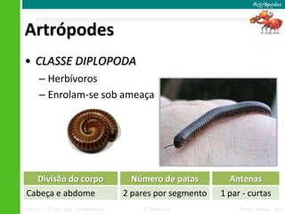 Artrópodes




Artrópodes
• CLASSE DIPLOPODA
      – Herbívoros
      – Enrolam-se sob ameaça




      Divisão do corpo                Número de patas         Antenas
 Cabeça e abdome                     2 pares por segmento   1 par - curtas
Ciências – 7º ano Ens. Fundamental       3º Bimestre             Profa. Rebeca Vale
 