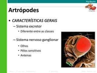 Artrópodes




Artrópodes
• CARACTERÍSTICAS GERAIS
      – Sistema excretor
            • Diferente entre as classes

      – Sistema nervoso ganglionar
            • Olhos
            • Pêlos sensitivos
            • Antenas



Ciências – 7º ano Ens. Fundamental   3º Bimestre   Profa. Rebeca Vale
 