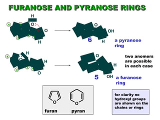 a pyranose ring a furanose ring 6 5 two anomers are possible in each case FURANOSE AND PYRANOSE RINGS for clarity no hydroxyl groups  are shown on the  chains or rings  1 2 3 4 5 1 2 3 4 furan pyran 