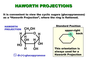 HAWORTH PROJECTIONS It is convenient to view the cyclic sugars (glucopyranoses) as a “Haworth Projection”, where the ring is flattened. upper-right back This orientation is always used for a Haworth Projection  -D-(+)-glucopyranose HAWORTH PROJECTION Standard Position 