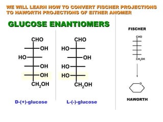 D-(+)-glucose L-(-)-glucose GLUCOSE ENANTIOMERS HAWORTH FISCHER WE WILL LEARN HOW TO CONVERT FISCHER PROJECTIONS TO HAWORTH PROJECTIONS OF EITHER ANOMER 
