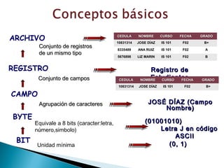 ARCHIVO                                     CEDULA
                                            10831314
                                                       NOMBRE
                                                       JOSE DÍAZ
                                                                   CURSO
                                                                   IS 101
                                                                             FECHA
                                                                              F02
                                                                                     GRADO
                                                                                      B+
        Conjunto de registros               8335489    ANA RUIZ    IS 101     F02      A
        de un mismo tipo
                                            5676898    LIZ MARIN   IS 101     F02     B


REGISTRO                                                    Registro de
        Conjunto de campos                   CEDULA
                                                            Estudiantes
                                                        NOMBRE CURSO FECHA           GRADO
                                            10831314   JOSE DÍAZ    IS 101    F02      B+

CAMPO
        Agrupación de caracteres                            JOSÉ DÍAZ (Campo
                                                                Nombre)
BYTE
       Equivale a 8 bits (caracter:letra,                 (01001010)
       número,simbolo)                                        Letra J en código
                                                                  ASCII
 BIT                                                            (0, 1)
        Unidad mínima
 
