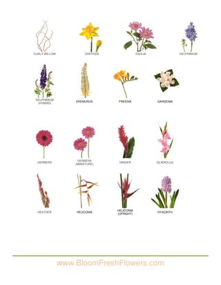 Iii. bloom fresh flowers flower images | PDF