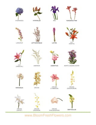 Iii. bloom fresh flowers flower images | PDF