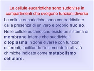 Le cellule eucariotiche sono suddivise in
compartimenti che svolgono funzioni diverse
Le cellule eucariotiche sono contraddistinte
dalla presenza di un vero e proprio nucleo.
Nelle cellule eucariotiche esiste un sistema di
membrane interne che suddivide il
citoplasma in zone diverse con funzioni
differenti, facilitando l’insieme delle attività
chimiche indicate come metabolismo
cellulare.
 