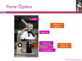 Parte Óptica 
4 
Profª Sandra Nascimento 
Diafragma  
