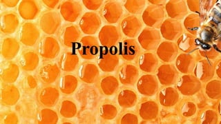 Propolis
 