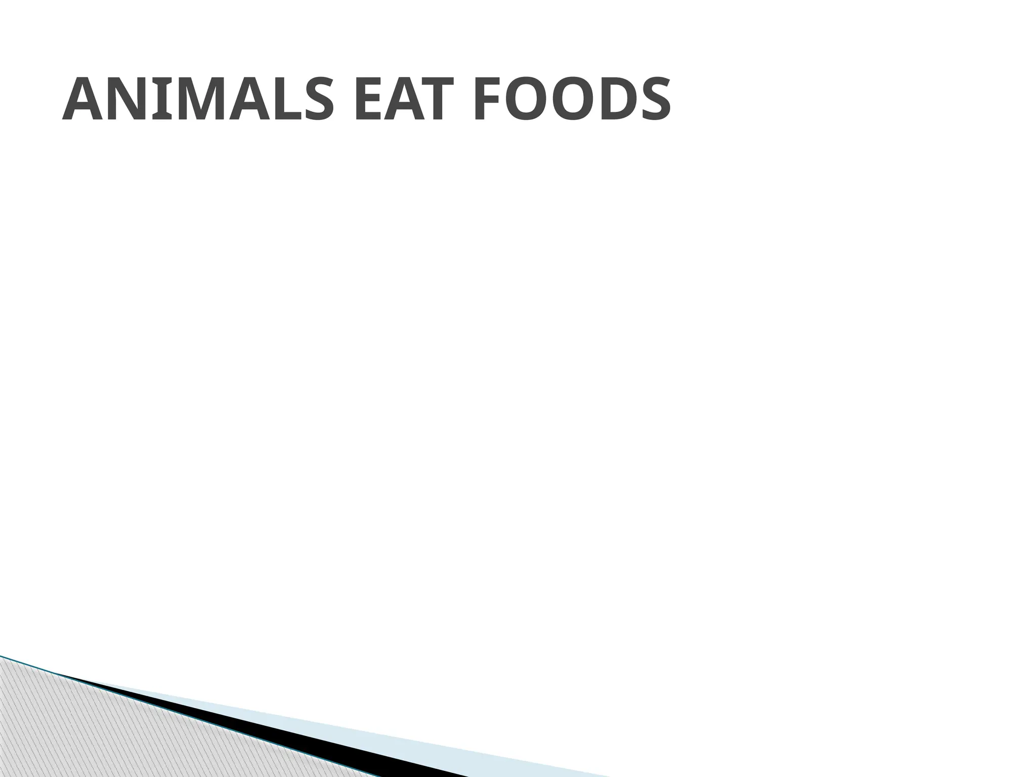 Class -3 unit-3 power point presentation | PPTX