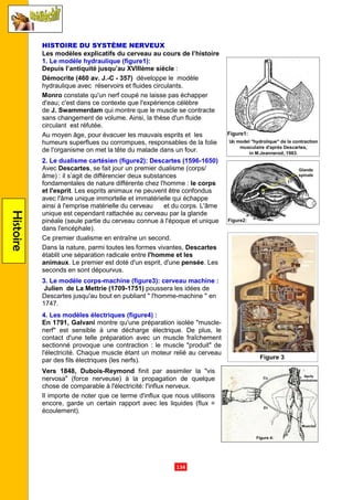 .134.
Histoire
HISTOIRE DU SYSTÈME NERVEUX
Les modèles explicatifs du cerveau au cours de l’histoire
1. Le modèle hydraulique (figure1):
Depuis l’antiquité jusqu’au XVIIIème siècle :
Démocrite (460 av. J.-C - 357) développe le modèle
hydraulique avec réservoirs et fluides circulants.
Monro constate qu'un nerf coupé ne laisse pas échapper
d'eau; c'est dans ce contexte que l'expérience célèbre
de J. Swammerdam qui montre que le muscle se contracte
sans changement de volume. Ainsi, la thèse d'un fluide
circulant est réfutée.
Au moyen âge, pour évacuer les mauvais esprits et les
humeurs superflues ou corrompues, responsables de la folie
de l'organisme on met la tête du malade dans un four.
2. Le dualisme cartésien (figure2): Descartes (1596-1650)
Avec Descartes, se fait jour un premier dualisme (corps/
âme) : il s’agit de différencier deux substances
fondamentales de nature différente chez l'homme : le corps
et l'esprit. Les esprits animaux ne peuvent être confondus
avec l'âme unique immortelle et immatérielle qui échappe
ainsi à l'emprise matérielle du cerveau et du corps. L'âme
unique est cependant rattachée au cerveau par la glande
pinéale (seule partie du cerveau connue à l'époque et unique
dans l'encéphale).
Ce premier dualisme en entraîne un second.
Dans la nature, parmi toutes les formes vivantes, Descartes
établit une séparation radicale entre l'homme et les
animaux. Le premier est doté d'un esprit, d'une pensée. Les
seconds en sont dépourvus.
3. Le modèle corps-machine (figure3): cerveau machine :
Julien de La Mettrie (1709-1751) poussera les idées de
Descartes jusqu'au bout en publiant " l'homme-machine " en
1747.
4. Les modèles électriques (figure4) :
En 1791, Galvani montre qu'une préparation isolée "muscle-
nerf" est sensible à une décharge électrique. De plus, le
contact d'une telle préparation avec un muscle fraîchement
sectionné provoque une contraction : le muscle "produit" de
l'électricité. Chaque muscle étant un moteur relié au cerveau
par des fils électriques (les nerfs).
Vers 1848, Dubois-Reymond finit par assimiler la "vis
nervosa" (force nerveuse) à la propagation de quelque
chose de comparable à l'électricité: l'influx nerveux.
Il importe de noter que ce terme d'influx que nous utilisons
encore, garde un certain rapport avec les liquides (flux =
écoulement).
 