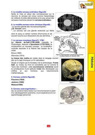 .135.
Histoire
5. Le modèle cerveau-ordinateur (figure5):
Après la mise en place des connaissances sur le
neurone, le cerveau est conçu comme l'assemblage
de milliards d'unités élémentaires et le plus actuel des
cerveaux-machines devient le cerveau-ordinateur.
6. Le modèle cerveau-usine chimique (figure6) :
Le cerveau-glande des neurophysiologistes ;
J.D. Vincent écrit :
"…Le cerveau est une glande endocrine qui libère
dans le sang un certain nombre d'hormones et est
souvent soumis aux rétroactions de ces dernières..."
7. Le cerveau mosaïque (figure7): 1790 :
La théorie de Gall (1758-1828) s'appelle la
Phrénologie. Associé à Spurzheim (1776-1832), ils
introduisirent un nouveau concept : la localisation
corticale associée à la théorie des bosses de la
voûte.
Broca (1865)
Wernicke (1874)
La bosse des maths est restée dans le langage courant
dès qu’il s’agit d’évoquer un fin calculateur.
Située à l’origine par le fondateur de la phrénologie, Frantz
Gall, au niveau du front et considérée par lui comme le
"sens des nombres", cette excroissance crânienne serait
la conséquence d’une aptitude innée très développée aux
chiffres et aux nombres, aux raisonnements
mathématiques.
8. Cerveau unitaire (figure8):
Flourens (1824)
Jackson (1860)
Watson(1900)
9. Cerveau auto-organisateur :
Qui se construit dans l’action sur l’environnement à partir
d’un développement autonome, d’une expérience et d’un
apprentissage personnel.
 