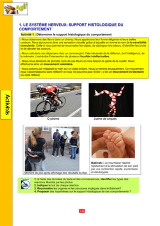 Activités
1. LE SYSTÈME NERVEUX: SUPPORT HISTOLOGIQUE DU
COMPORTEMENT
Activité 1 : Déterminer le support histologique du comportement
- Nous observons des fleurs dans un champ. Nous apprécions leur forme élégante et leurs
couleurs. Nous éprouvons ainsi
consciente. Celle-ci nous permet de reconnaitre les objets, de distinguer les odeurs, d’identifier les bruits
et de déceler les saveurs.
- Nous calculons nos dépenses chez un commerçant. Cela nécessite de la réflexion, de l’intelligence, de
la mémoire, c'est-à-dire l’intervention de plusieurs
- Nous nous décidons de prendre l’
effectuons ainsi un mouvement volontaire.
- Nous posons par mégarde la main sur un objet brûlant. Nous la retirons brusquement. C
nous l’accomplissons sans réfléchir et nous ne pouvons pas l’éviter
(ou acte réflexe)
Cyclisme S
Moment de joie après affichage des résultats du Ba
1. A l’aide des données du texte et des connaissances, i
réactions illustrés par les photos
2. Indiquer le but de chaque réaction
3. Reconnaitre les organes et les structures impliqués dans le
4. Proposer des hypothèses sur le support histologique de ces comportements
.136.
LE SYSTÈME NERVEUX: SUPPORT HISTOLOGIQUE DU
éterminer le support histologique du comportement
des fleurs dans un champ. Nous apprécions leur forme élégante et leurs
ainsi une sensation visuelle grâce à laquelle on donne le nom de
ci nous permet de reconnaitre les objets, de distinguer les odeurs, d’identifier les bruits
Nous calculons nos dépenses chez un commerçant. Cela nécessite de la réflexion, de l’intelligence, de
dire l’intervention de plusieurs facultés intellectuelles.
Nous nous décidons de prendre l’une de ces fleurs et nous faisons le geste de la cueillir. Nous
mouvement volontaire.
Nous posons par mégarde la main sur un objet brûlant. Nous la retirons brusquement. C
sans réfléchir et nous ne pouvons pas l’éviter ; c’est un mouvement
Cyclisme Scène de cirques
Moment de joie après affichage des résultats du Bac
Babinski : Le nourrisson répond
rapidement à la stimulation de son pied
par une contraction rapide, involontaire
et stéréotypée.
A l’aide des données du texte et des connaissances, identifier les types des
réactions illustrés par les photos
le but de chaque réaction
les organes et les structures impliqués dans le Babinski
des hypothèses sur le support histologique de ces comportements
LE SYSTÈME NERVEUX: SUPPORT HISTOLOGIQUE DU
des fleurs dans un champ. Nous apprécions leur forme élégante et leurs belles
ne sensation visuelle grâce à laquelle on donne le nom de la sensibilité
ci nous permet de reconnaitre les objets, de distinguer les odeurs, d’identifier les bruits
Nous calculons nos dépenses chez un commerçant. Cela nécessite de la réflexion, de l’intelligence, de
este de la cueillir. Nous
Nous posons par mégarde la main sur un objet brûlant. Nous la retirons brusquement. Ce mouvement
mouvement involontaire
cirques
Le nourrisson répond
rapidement à la stimulation de son pied
par une contraction rapide, involontaire
les types des
Babinski?
des hypothèses sur le support histologique de ces comportements ?
 
