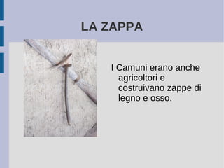 LA ZAPPA
I Camuni erano anche
agricoltori e
costruivano zappe di
legno e osso.
 