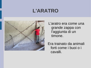 L'ARATRO
L'aratro era come una
grande zappa con
l'aggiunta di un
timone.
Era trainato da animali
forti come i buoi o i
cavalli.
 