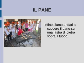 IL PANE
Infine siamo andati a
cuocere il pane su
una lastra di pietra
sopra il fuoco.
 