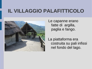 IL VILLAGGIO PALAFITTICOLO
Le capanne erano
fatte di argilla,
paglia e fango.
La piattaforma era
costruita su pali infissi
nel fondo del lago.
 