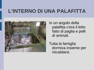 L'INTERNO DI UNA PALAFITTA
In un angolo della
palafitta c'era il letto
fatto di paglia e pelli
di animali.
Tutta la famiglia
dormiva insieme per
riscaldarsi.
 