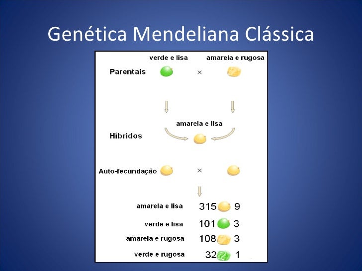 Genetica pos mendel